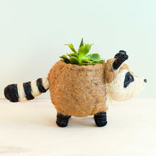 Raccoon Planter Handmade Coconut Coir Plant Pot