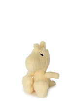 Tiny Terry Woodstock