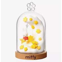 Miffy Terrarium Fun Everyday Blind Box