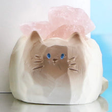 Cat Pal Crystal Blind Box