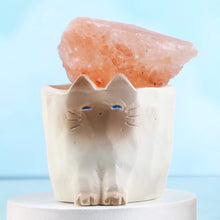 Cat Pal Crystal Blind Box