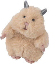 Mochi Hamster