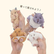 Mochi Hamster