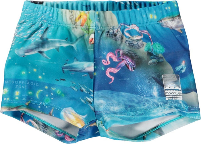 Nansen Swim Shorts | Ocean Zones