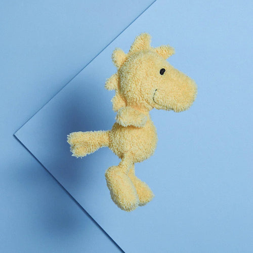 Tiny Terry Woodstock