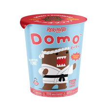 Domo-Kun Rokimoto Wave Vinyl Figure Blind Box