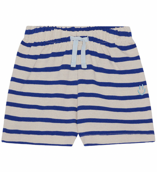 Skie Shorts | Reef Stripe