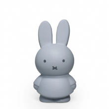 Miffy Coin Bank Small | Silver Blue
