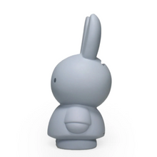 Miffy Coin Bank Small | Silver Blue