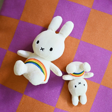 Sitting Rainbow Miffy