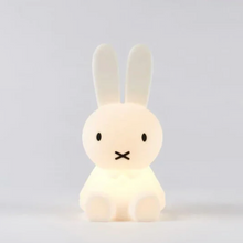 Miffy Bundle of Light Night Light