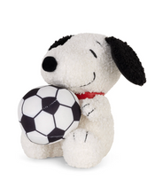 Snoopy and his Soccer Ball