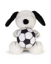 Snoopy and his Soccer Ball