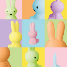 Miffy Colourful Mini Light Surprise Collection