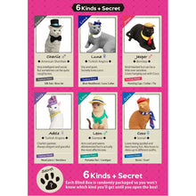 Fancy Pets : Amy's Favorite Cat Blind Box
