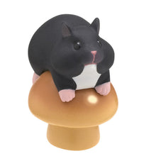 Hamster on Mushroom Blind Box