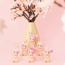 Cherry Blossom Series | Hanami Edition