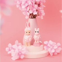 Cherry Blossom Series | Hanami Edition