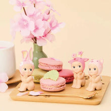 Cherry Blossom Series | Hanami Edition