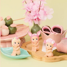 Cherry Blossom Series | Hanami Edition