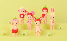 Sonny Angel Strawberry Love Series