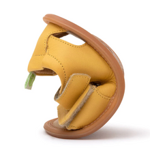Sleeky Sandal Shoe | Pequi