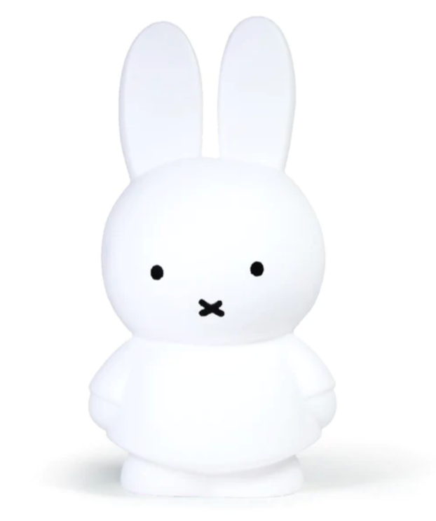 Atelier Pierre Miffy Coin Bank | Large