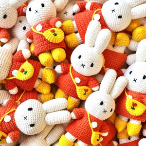 Miffy And Her Tulip Bag | Orange Dress