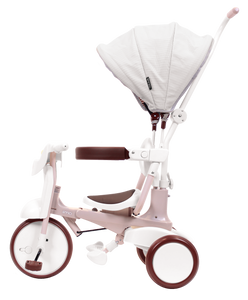 iimo 3-in-1 Foldable Tricycle with Canopy