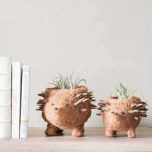Baby Hedgehog Plant Pot Handmade Coco Coir Planters