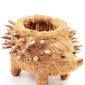 Baby Hedgehog Plant Pot Handmade Coco Coir Planters