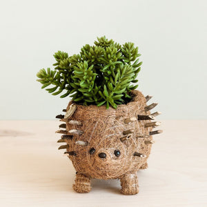 Baby Hedgehog Plant Pot Handmade Coco Coir Planters