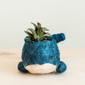 Baby Whale Flower Pot Coco Coir Pots