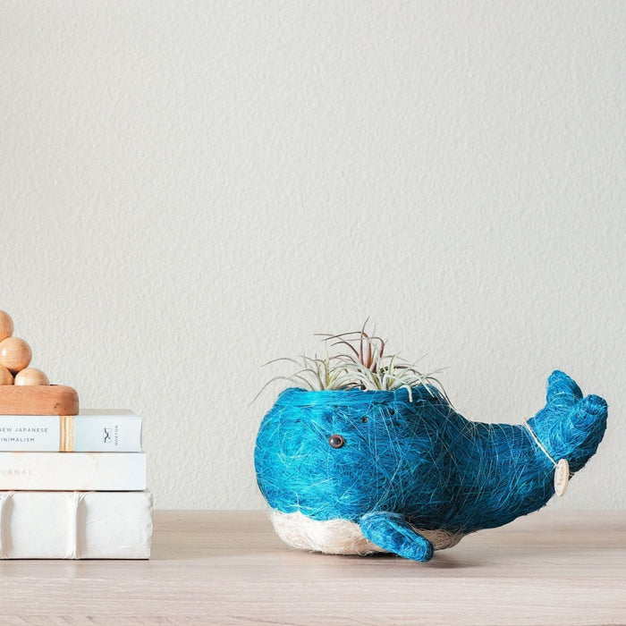 Baby Whale Flower Pot Coco Coir Pots