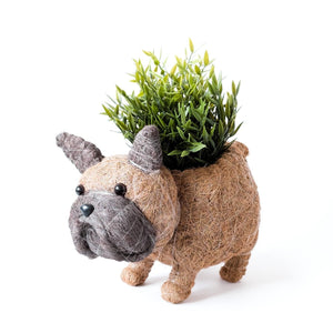 French Bulldog Planter Coco Coir Pots