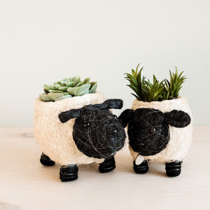Sheep Planter Coco Coir Pots