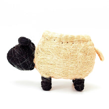 Sheep Planter Coco Coir Pots