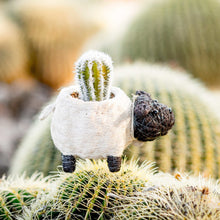 Sheep Planter Coco Coir Pots